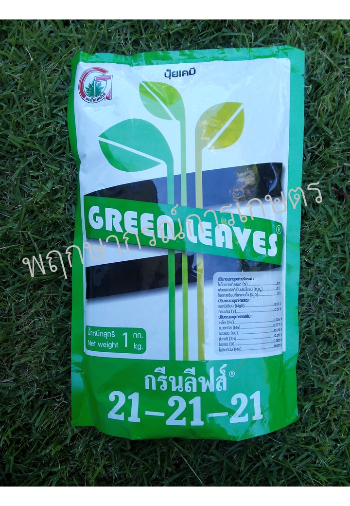 กรีนลีฟส์ 21-21-21