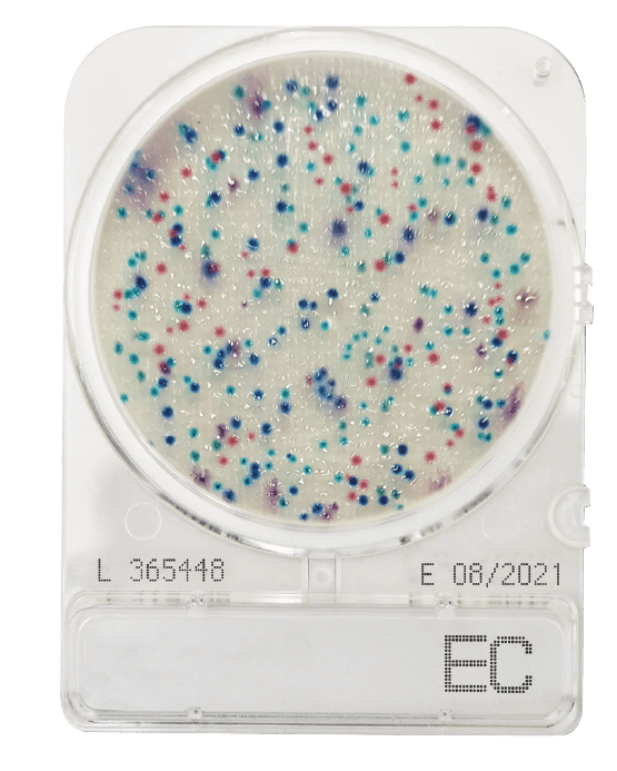 Compact Dry EC (สำหรับตรวจ E.coli และ Coliform)