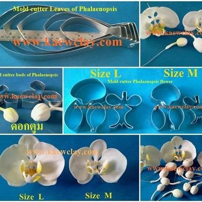พิมพ์ตัดดอกกล้วยไม้ฟาแลนด์ (Aluminum mold cutter Phalaenopsis orchids)