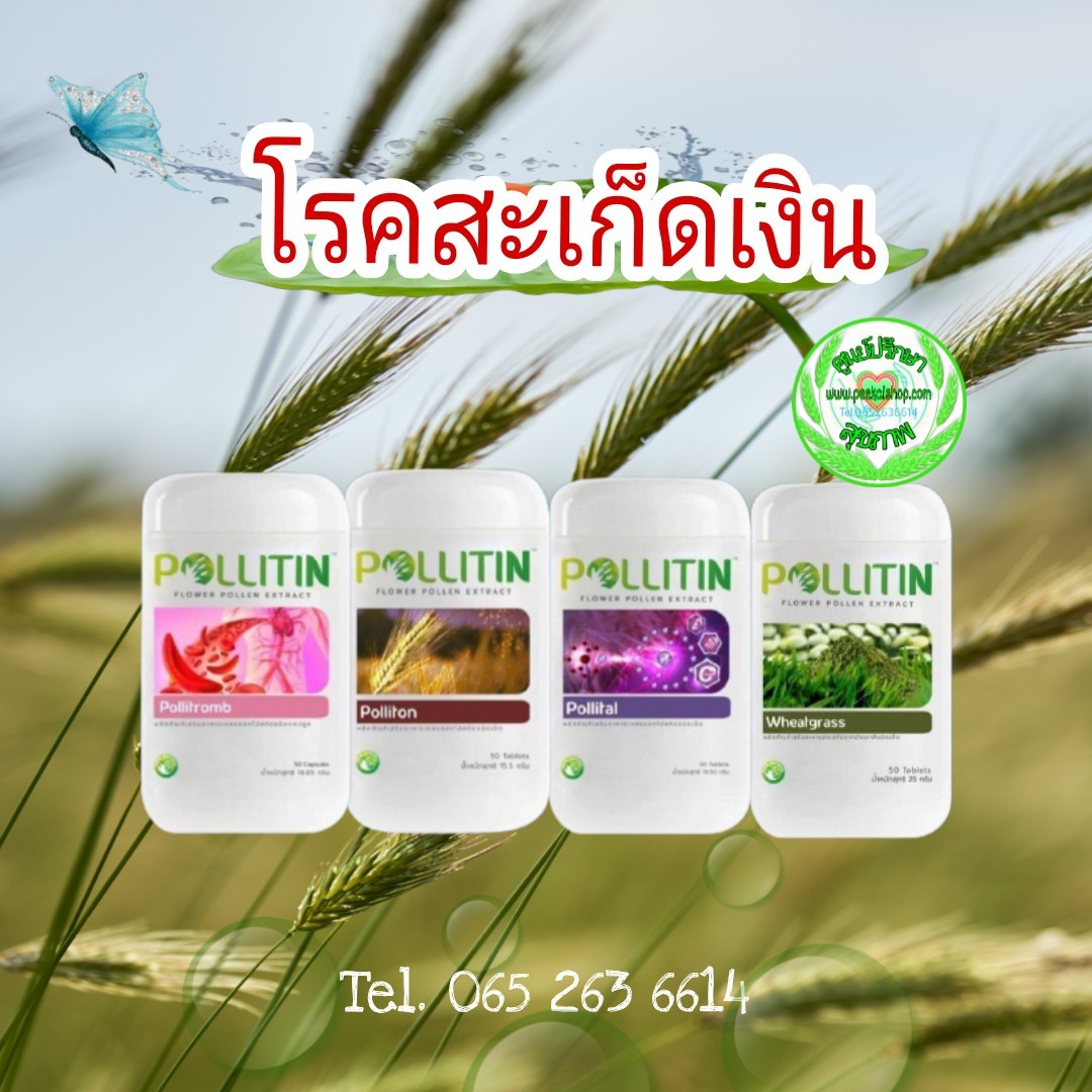 โรคสะเก็ดเงิน (พอลลิติน)