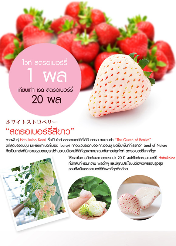 Faris White Strawberry Deep Brightening Mask Pack / มาร์คเพื่อผิวกระจ่างใส ฟาริส ไวท์ สตรอเบอร์รี่ ขนาด 60 กรัม