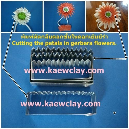พิมพ์อลูมิเนียมกลีบดอกชั้นในดอกเยียบีร่า (Aluminum mold cutter pollen the petals in gerbera )