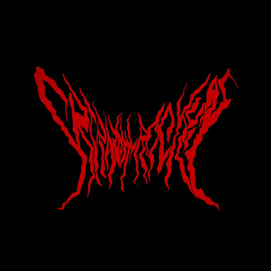 SRJ-S-004-DMT LOGO STICKERS
