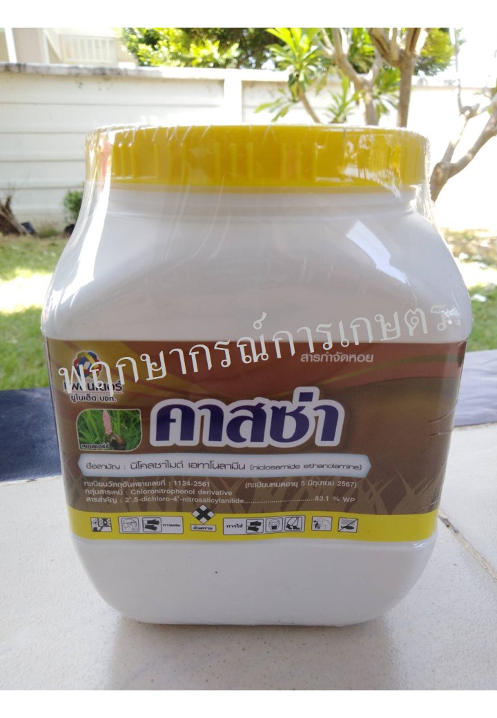 คาสซ่า