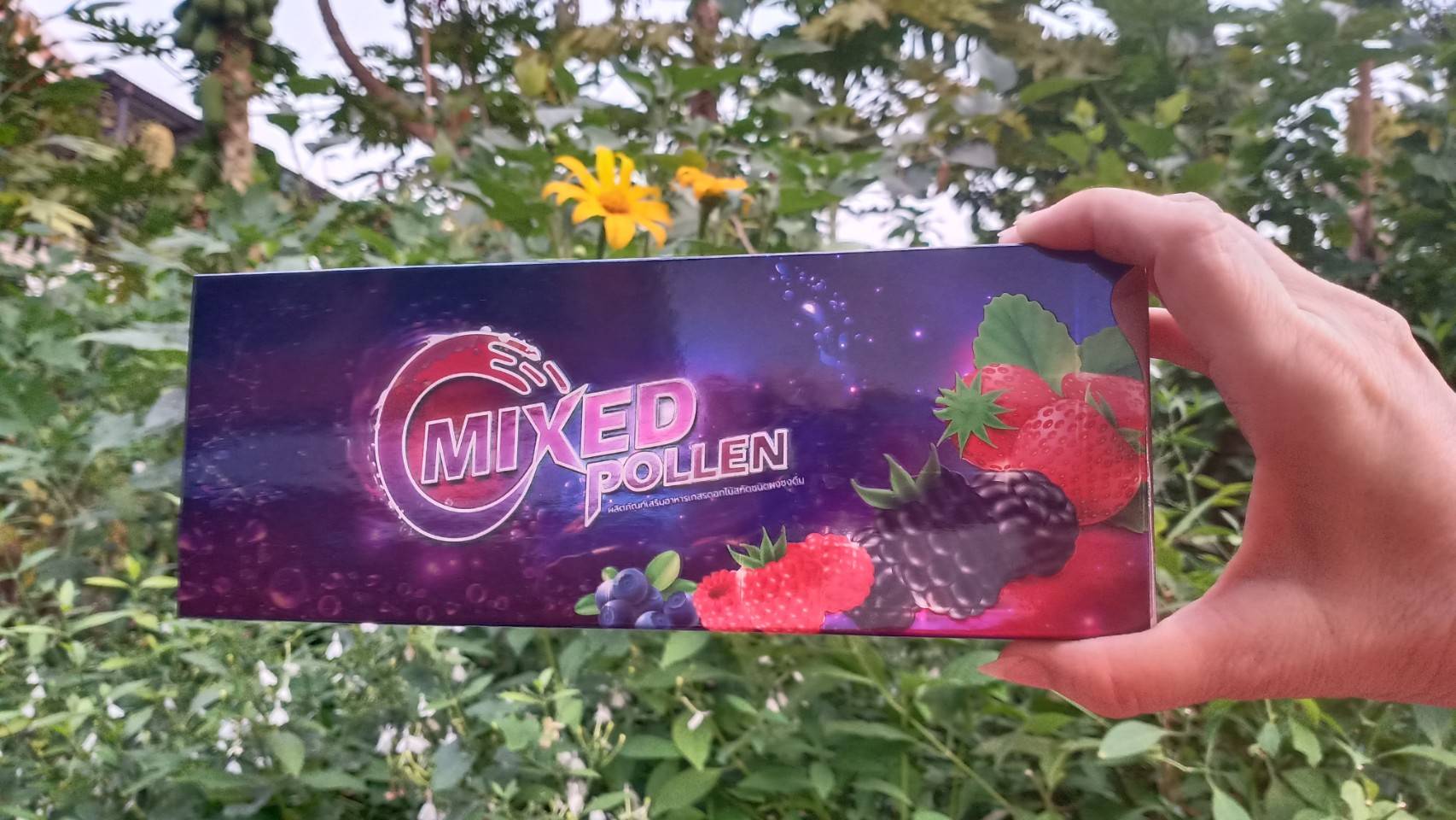 มิกซ์ พอลเลน Mixed Pollen (ตัวชง)