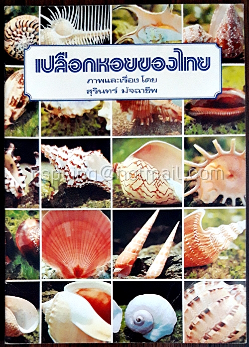 เปลือกหอยของไทย