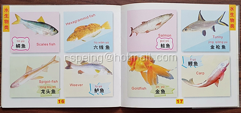 หนังสือเรียนรู้ภาษาจีนด้วยภาพสำหรับเด็ก หมวดสัตว์ 看图识动物
