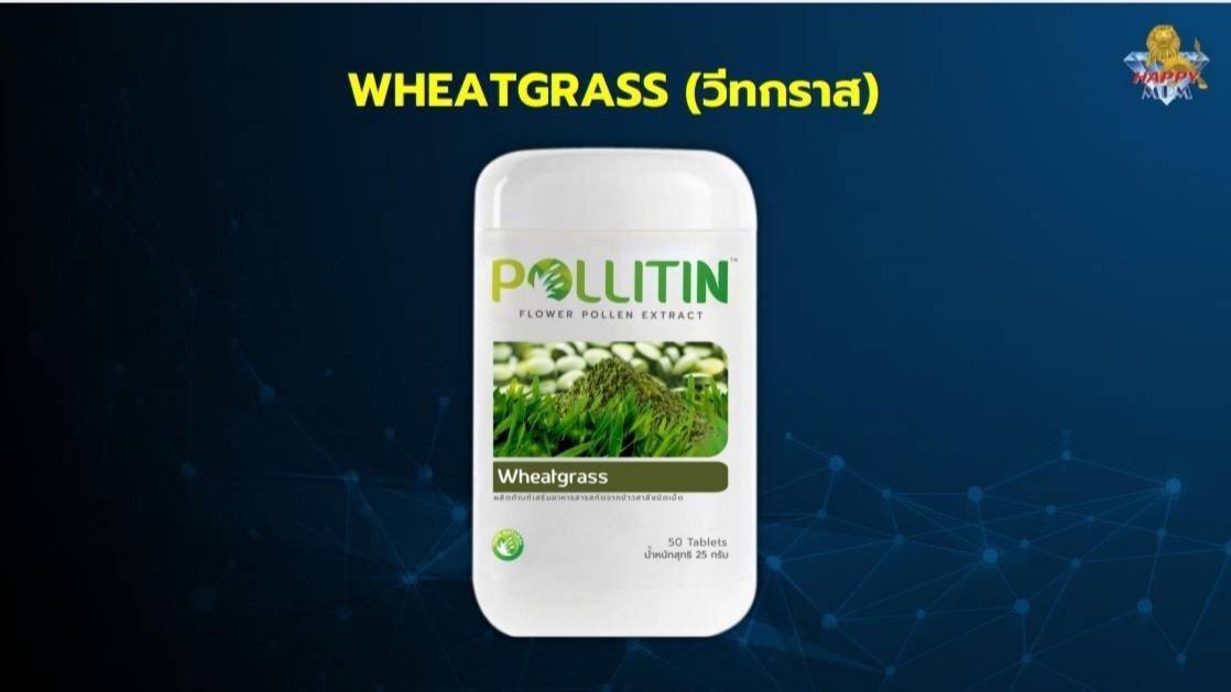 wheatgrass วีทกราส อุดมไปด้วยวิตามินซี และวิตามินอี ซึ่งเป็นสารต้านอนุมูนอิสระที่ดีที่สุดต่าร่างกาย ซึ่งจะสามารถปกป้องเซลล์ร่างกายจากการถูกทำลายจากสารอนุมูลอิสระ,