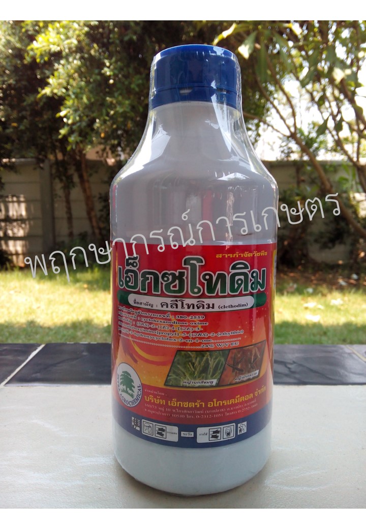 เอ็กซโทดิม 500 ซีซี