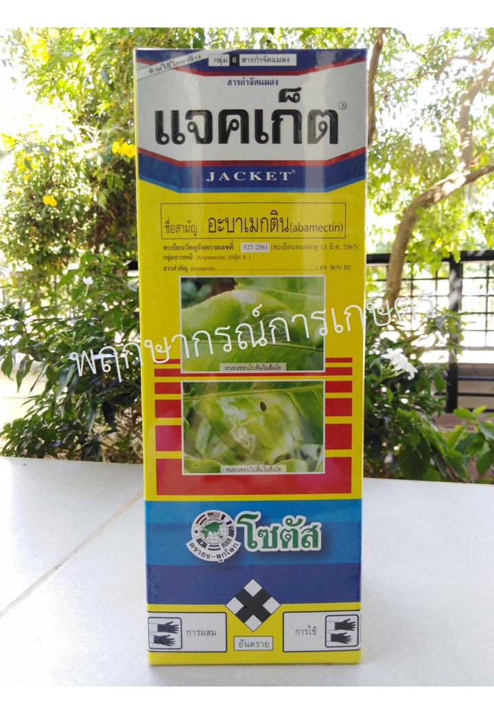 แจคเก็ต