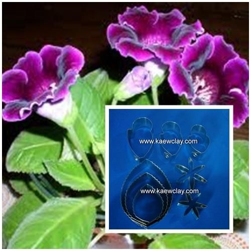 พิมพ์ตัดอลูมิเนียมดอก+ใบกล็อกซิเนีย(Aluminum mold cutter Gloxinia flower )