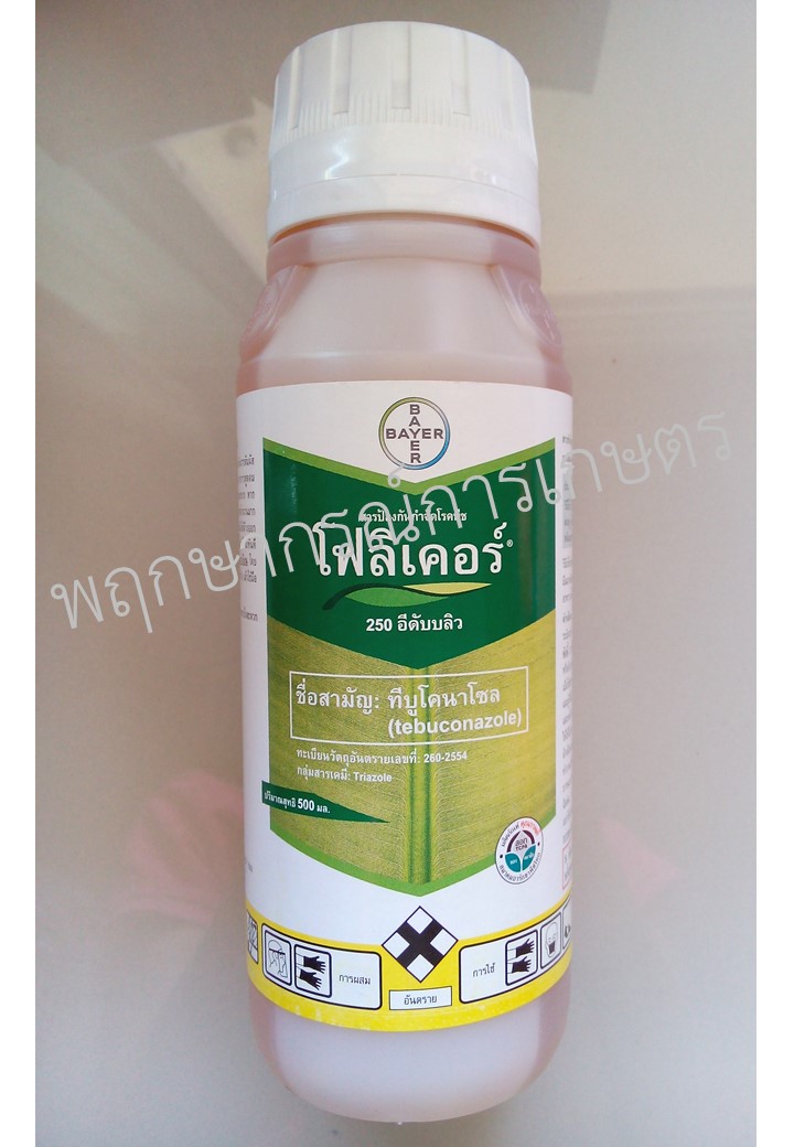 โฟลิเคอร์