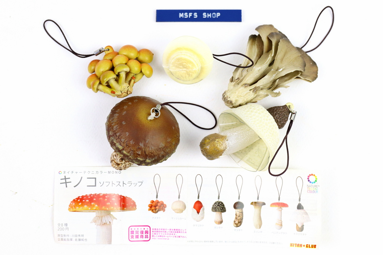 [มือสอง] ชุดกาชาปองเห็ด 5 แบบ Kitan Club Nature Techni Colour