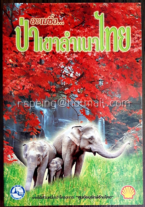 อะเมซิ่ง ป่าเขาลำเนาไทย