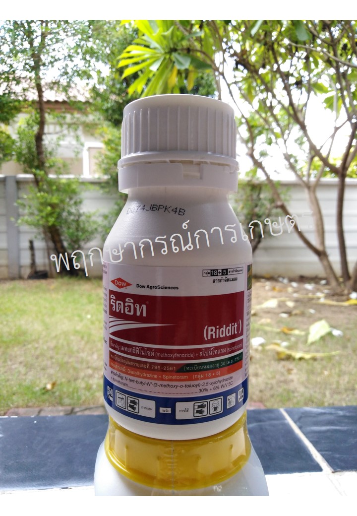 ริดอิท