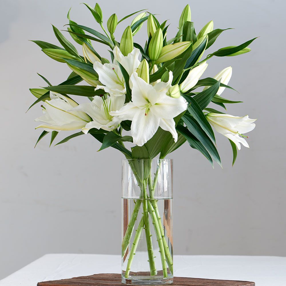 พิมพ์เรซิ่นอัดลายดอกลิลลี่ (Veiners lily flower)
