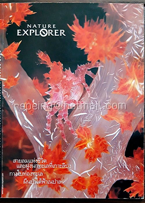 Nature Explorer Vol.4 / April 2000