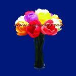 DVD สอนทำดอกทิวลิป (DVD how to make TULIP flower with KAEWCLAY)
