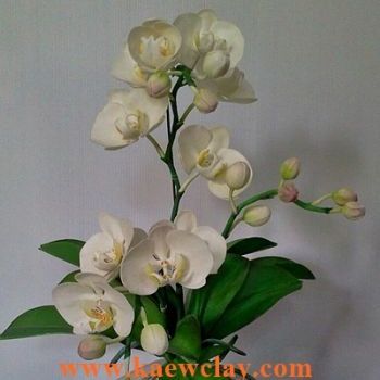 พิมพ์ตัดดอกกล้วยไม้ฟาแลนด์ (Aluminum mold cutter Phalaenopsis orchids)