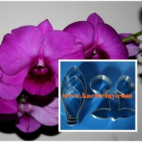พิมพ์ตัดกล้วยไม้หวาย (Aluminum mold cutter Dendrobium )
