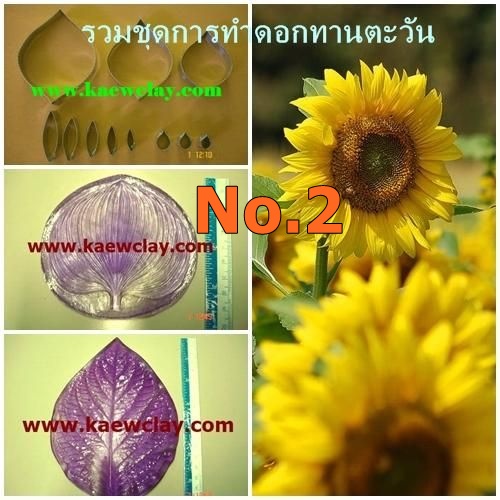 พิมพ์ตัดดอกทานตะวัน+ใบ (Aluminum mold cutter Helianthus annuus ,sunflower)