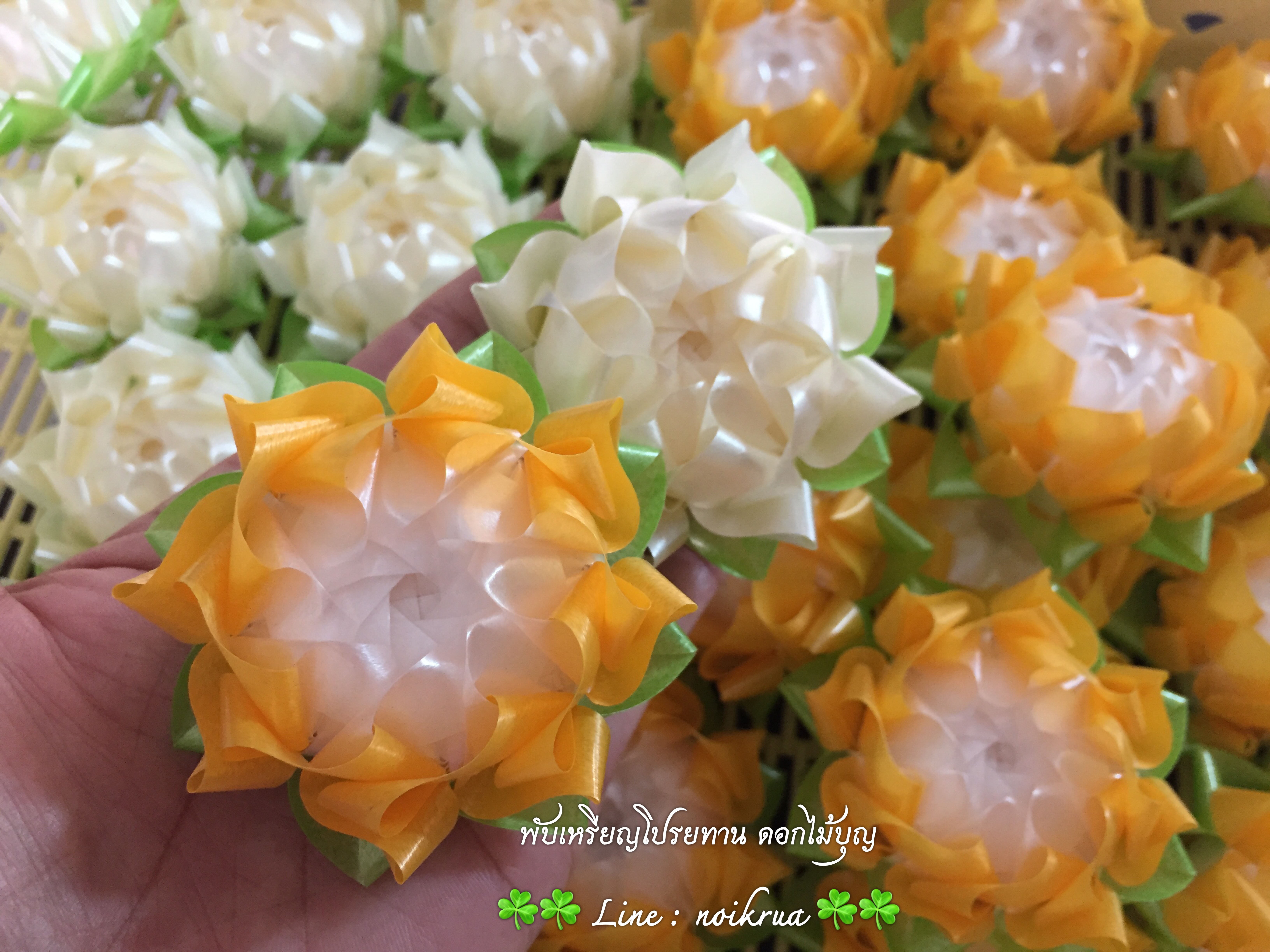 ดอกทานตะวันคละสี เหรียญโปรยทาน