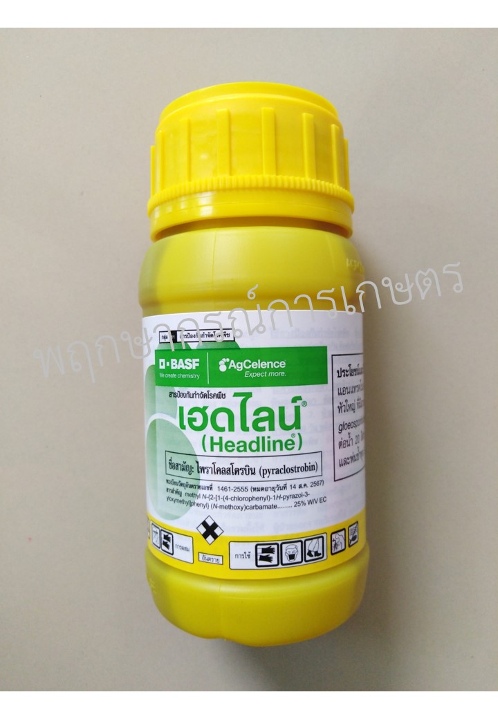 เฮดไลน์ 250 ซีซี