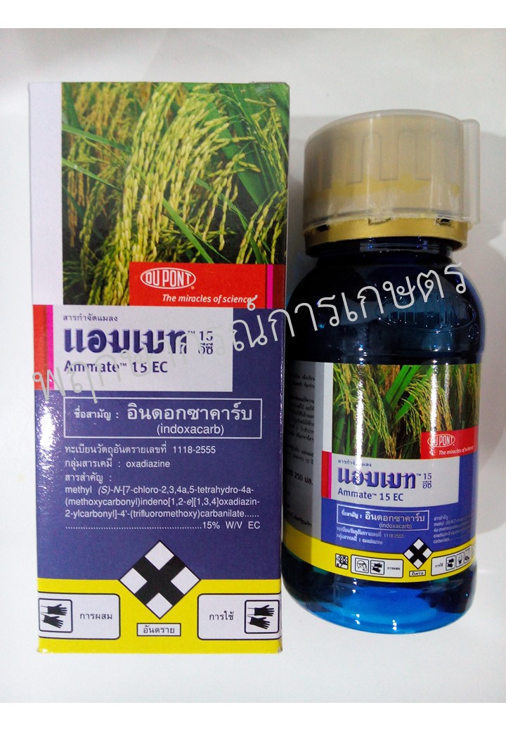 แอมเมท 15 อีซี