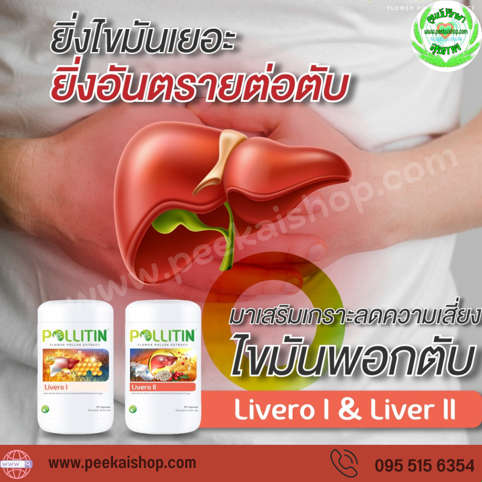 ตับอักเสบ / ไขมันพอกตับ