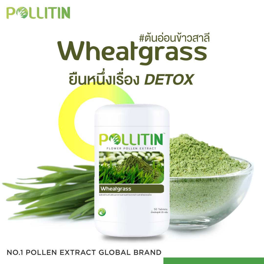Wheatgrass วีทกราส พอลลิติน (ต้นอ่อนข้าวสาลี)
