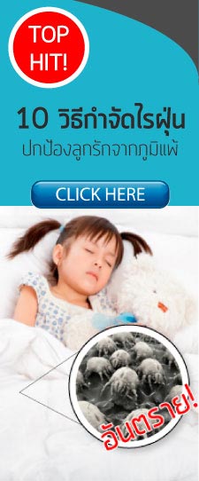 วิธีกำจัดไรฝุ่น