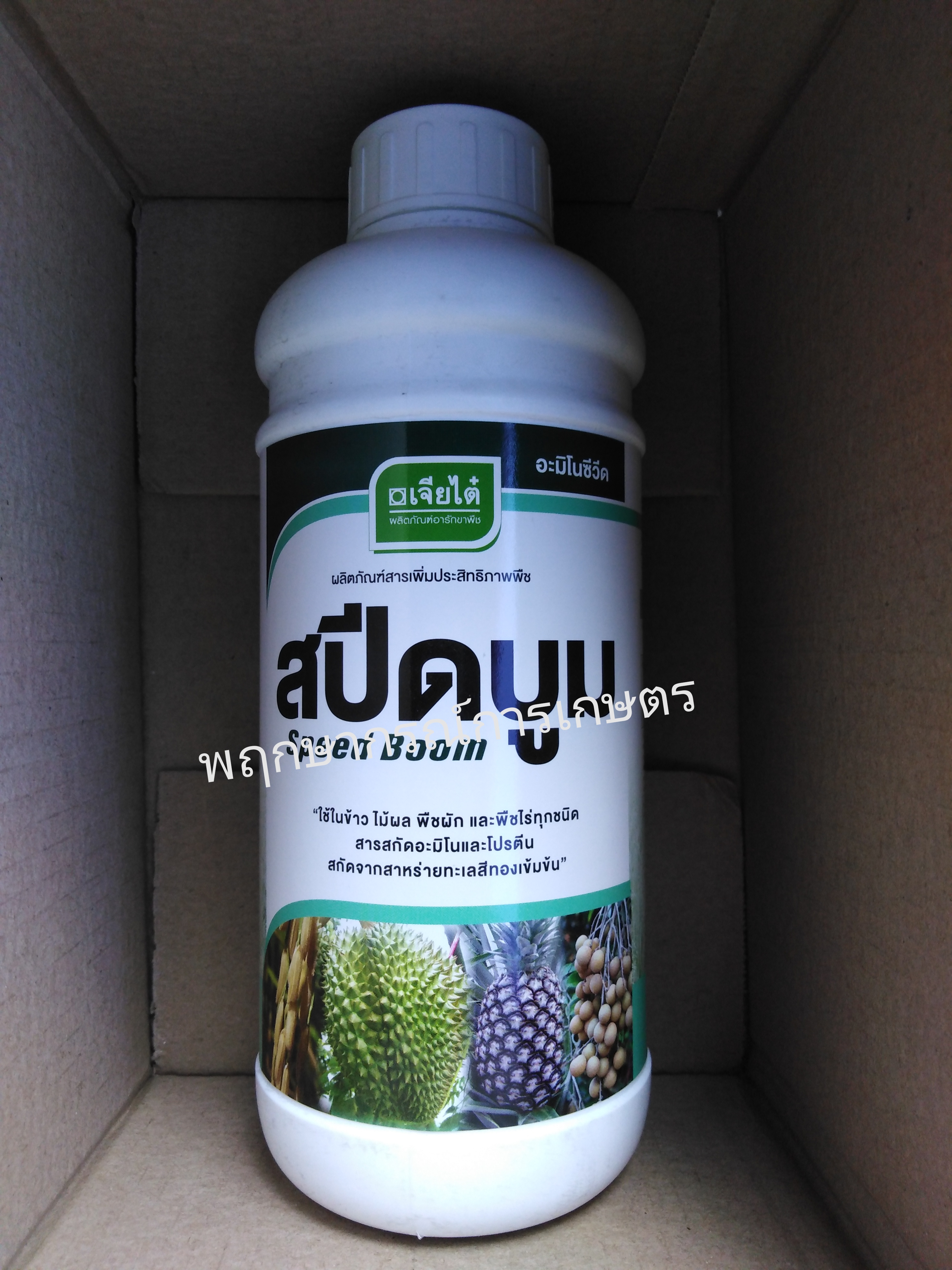 สปีดบูม