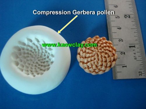 แบบอัดเกสรดอกเยียบีร่า,ดอกมัม (Compression Gerbera, Mum pollen )