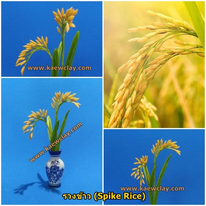 พิมพ์ตัดใบรวงข้าว (Mold cotter Spike Rice leaves)