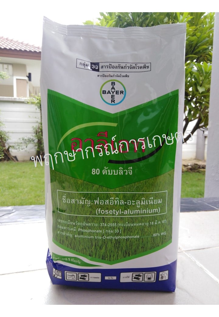 อาลีเอท