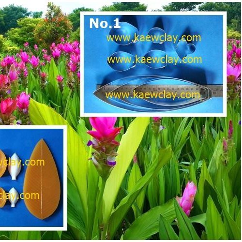 พิมพ์อลูมิเนียมตัดดอกกระเจียว(ดอกปทุมมา)+ใบ(Aluminum mold cutter Curcuma alismatifolia (Siam tulip) + leaves )