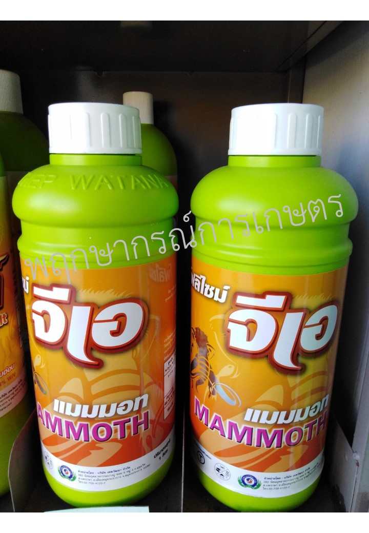 แมมมอท โฟลิไซม์ จีเอ