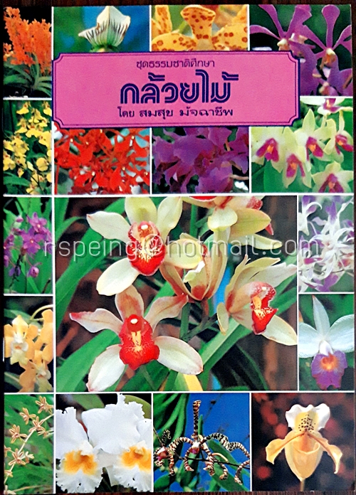 กล้วยไม้