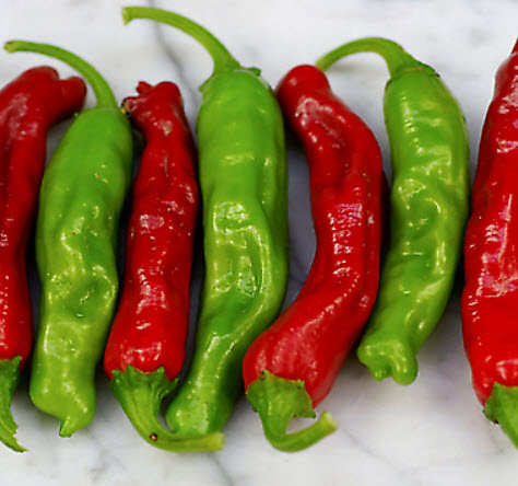 พริกชิชิโตะ (Shishito Chilli) หรือพริกกะจู๋ญี่ปุ่น / 10 เม็ด (Australia)*