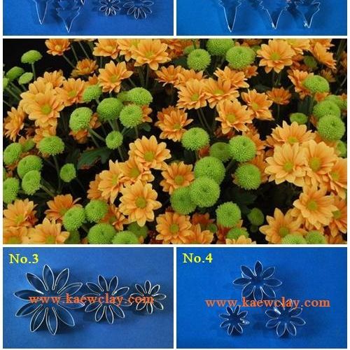 พิมพ์อลูมิเนียมตัดดอกมัม(Aluminum mold cutter dendranthemum Flower)