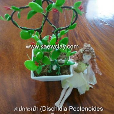 พิมพ์ตัดอลูมิเนียมเดปกระเป๋า(Aluminum mold cutter Dischidia Pectenoides Pear)