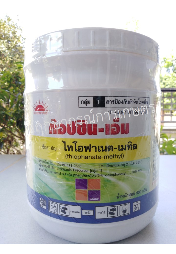 ท๊อปซิน-เอ็ม