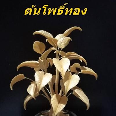 พิมพ์ต้ดอลูมิเนียมใบโพธิ์เงิน-ทอง(Aluminum mold cutter Ficus religiosa L. leaves )Bodhi Tree
