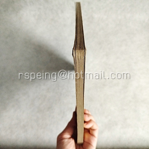 ピカチュウのだいぼうけん （ポケモンパノラマ絵本） การผจญภัยครั้งใหญ่ของปิกาจู (หนังสือภาพโปเกมอนพาโนรามา)