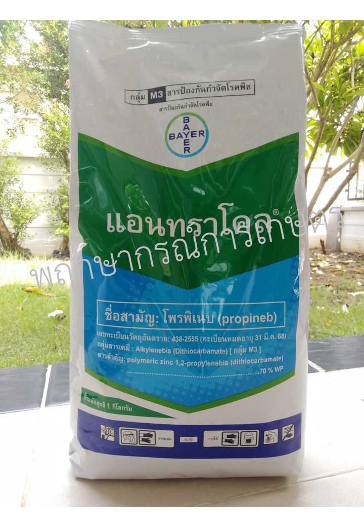 แอนทราโคล