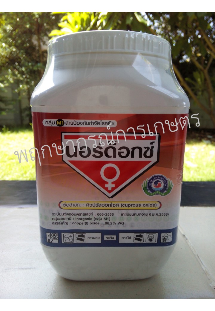 นอร์ด็อกซ์