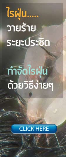 กำจัดไรฝุ่น