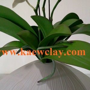 DVD สอนทำกล้วยไม้ฟาแลนนอปซิส หรือ Link Online (DVD How to make Phalaenopsis Orchids with KAEWCLAY)