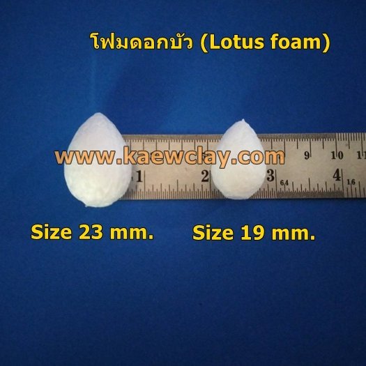 โฟมดอกบัว(Lotus foam)
