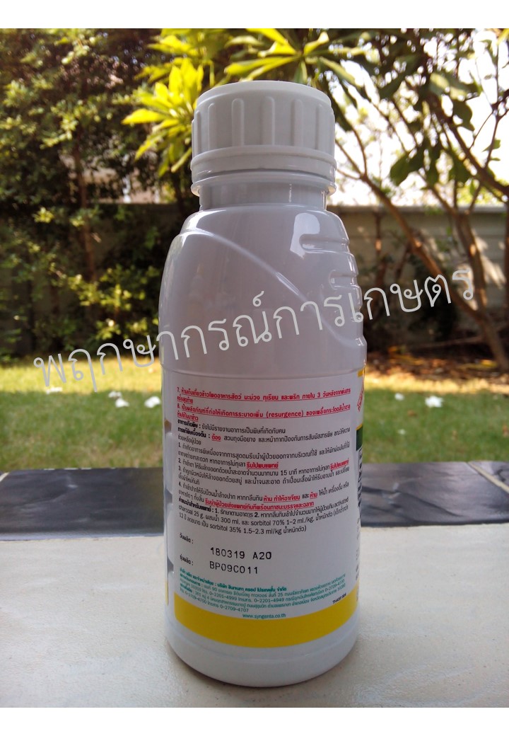 เอฟโฟเรีย 247 แซดซี 500 ซีซี